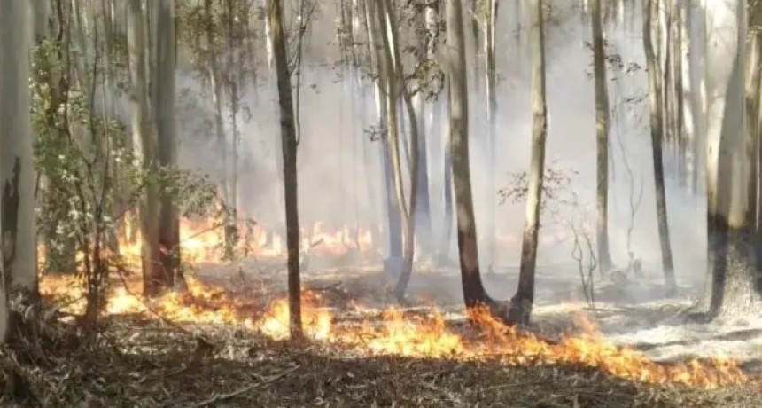 Nación extendió un año más la emergencia por incendios