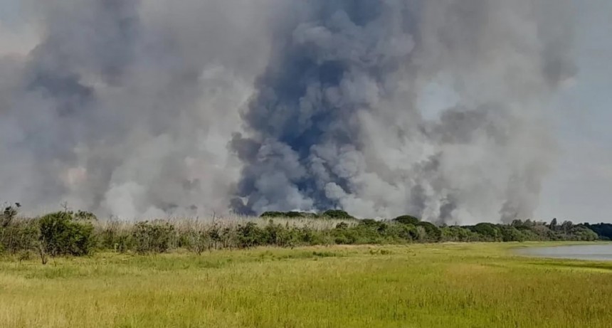 Preocupación por un incendio forestal en Paraje Caimán