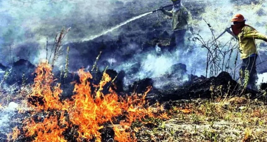 Corrientes registró nuevos focos de incendios forestales activos 