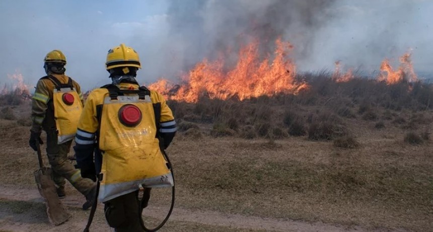 Vecinos detuvieron a un hombre que comenzó un incendio en un campo de Corrientes