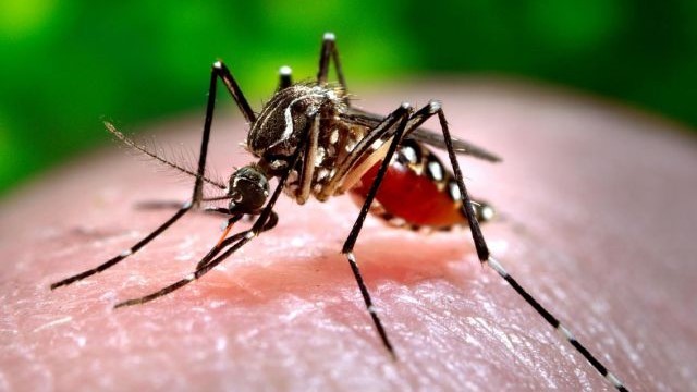 Nueva muerte por dengue en Corrientes