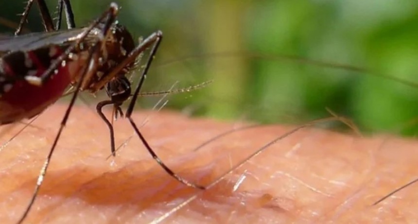 Murió una joven por dengue en Corrientes 