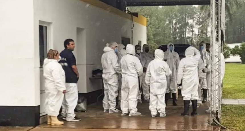 Las muestras de la Avícola Santa Ana dieron negativo, pero no podrá vender su producción