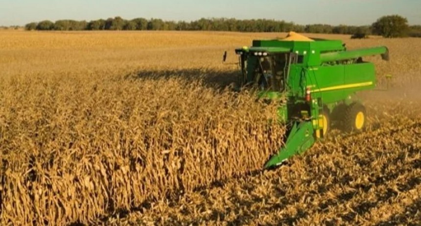 El Gobierno creó un mecanismo de compensación para que los agroproductores liquiden
