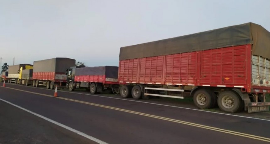 Corrientes: incautaron casi 90 toneladas de soja ilegal