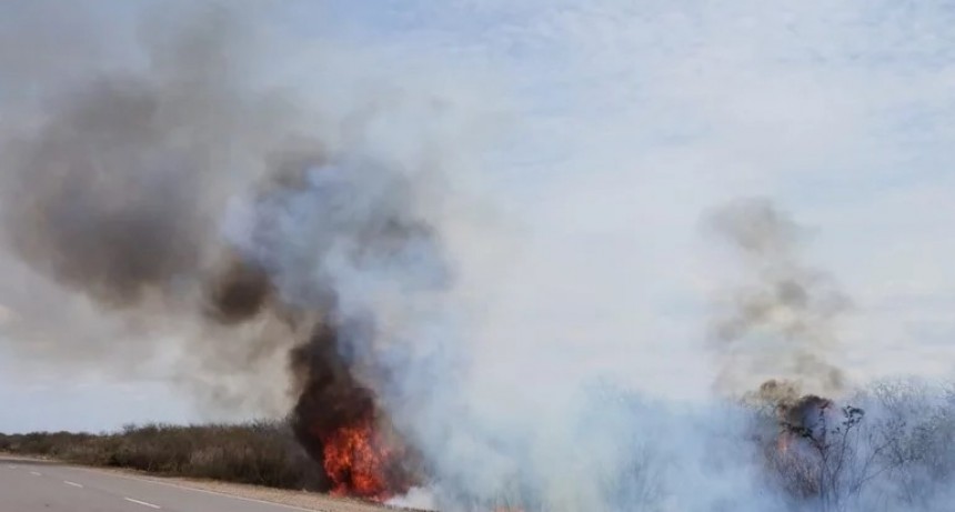 Incendios: frenaron tres focos ígneos e iniciaron actuaciones judiciales