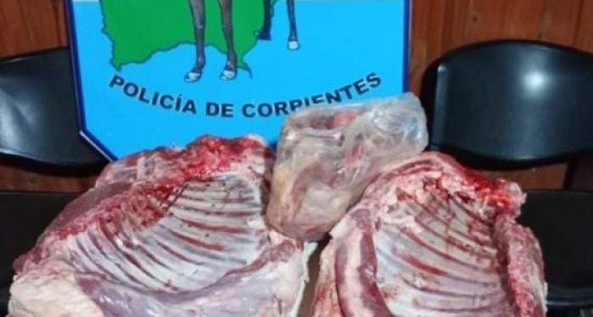 Santo Tomé: Llevaban carne dentro de una heladera vieja