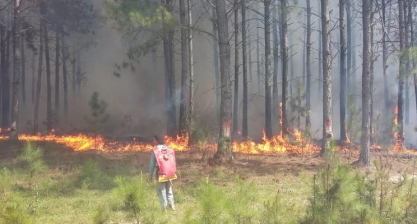 Un incendio en la reserva Iberá arrasó con 600 hectáreas