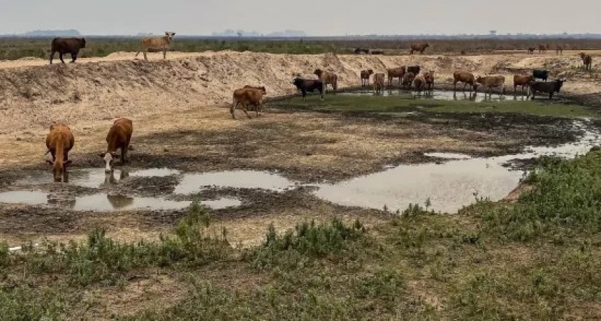 El gobernador Gustavo Valdés prorrogó la Emergencia Agropecuaria en Corrientes