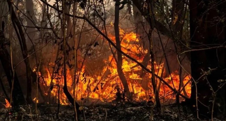 Corrientes registra focos activos de incendios forestales