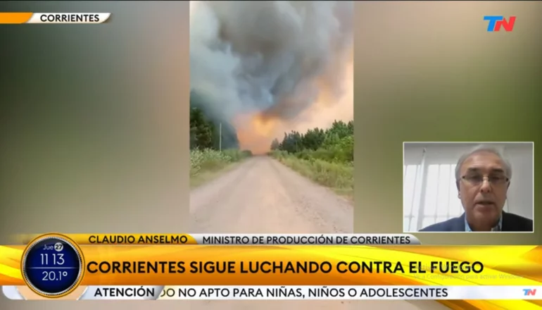 Corrientes: los incendios afectaron 115.000 hectáreas forestales y varios cultivos
