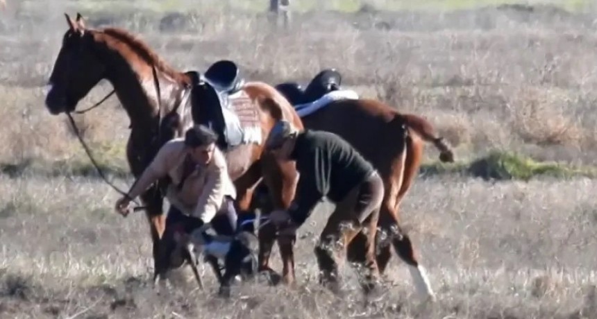 Corrientes: Murió tras caerse de un caballo desbocado en una estancia