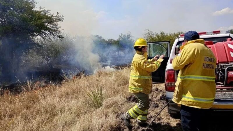 En 20 días, los Bomberos intervinieron en más de 600 incendios