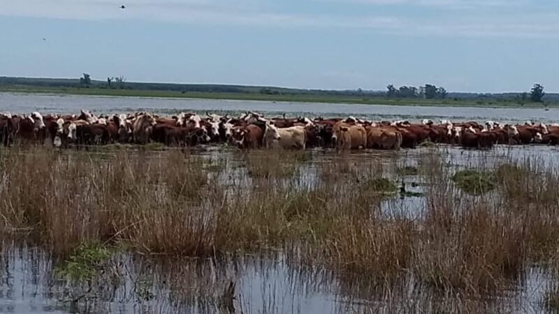 Emergencia hídrica: CRA se solidariza con Corrientes y advierte sobre el impacto en las economías regionales