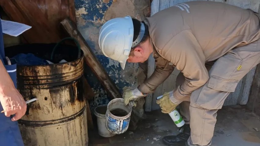 Salud Pública recomienda fortalecer las acciones contra el Dengue luego de la lluvia