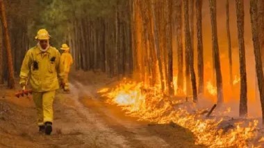 Bomberos de Virasoro anticipan que el verano podría ser un infierno