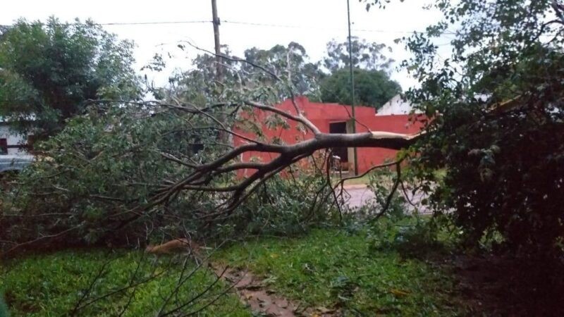 Violento temporal en Mburucuyá: voladura de techos, árboles caídos y todo el pueblo sin luz