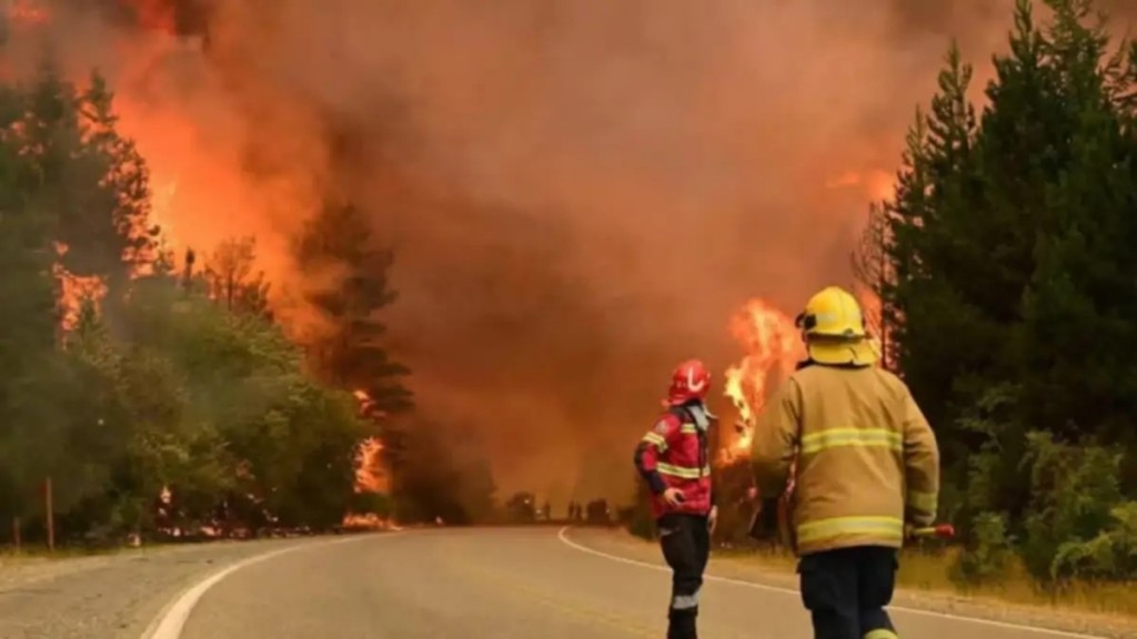 Situación extrema por los incendios en Chubut: “Es la peor tragedia ambiental en 20 años”