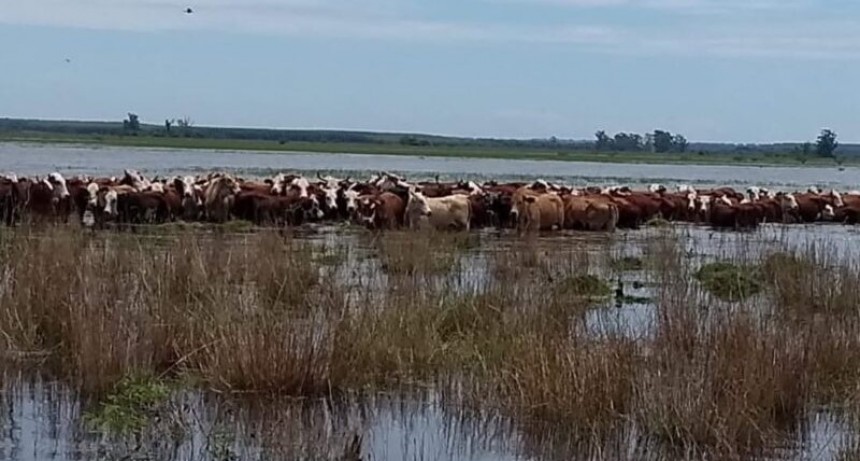 Emergencia hídrica: CRA se solidariza con Corrientes y advierte sobre el impacto en las economías regionales