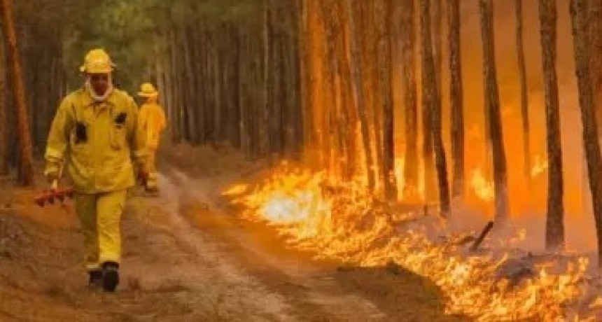 Bomberos de Virasoro anticipan que el verano podría ser un infierno