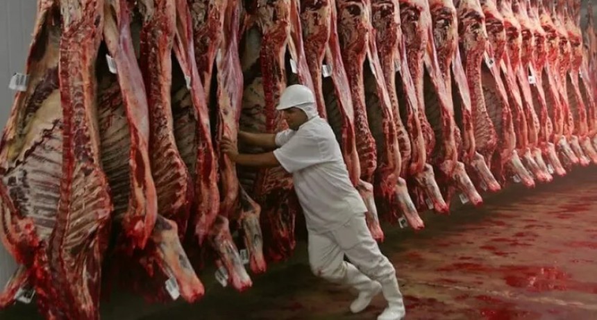 Las sombras detrás de la lucha contra el abigeato en La Cruz