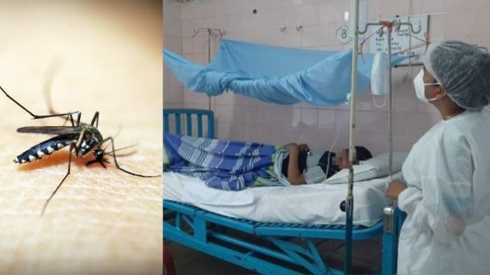 Alerta epidemiológica en Paraguay por casos de chikungunya y dengue