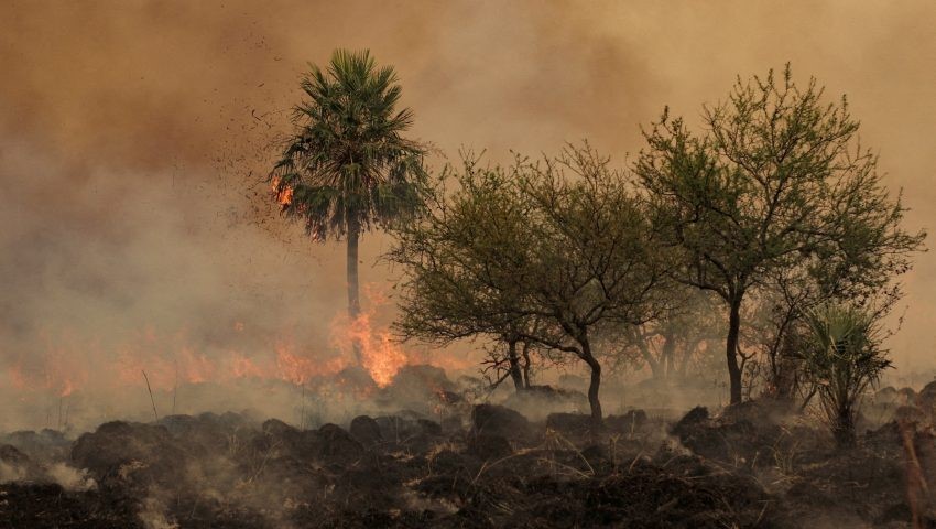 Corrientes registró 14 focos de incendio en las últimas horas