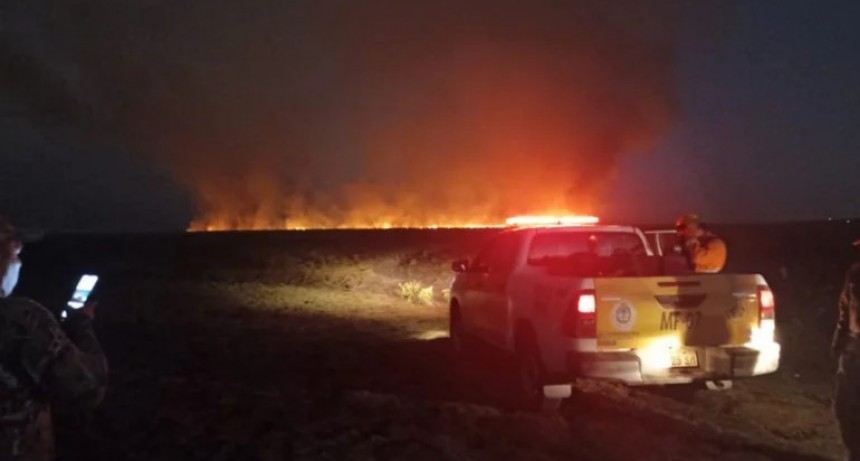 Fuego en Corrientes: continúan los incendios en la provincia y los equipos no dan abasto