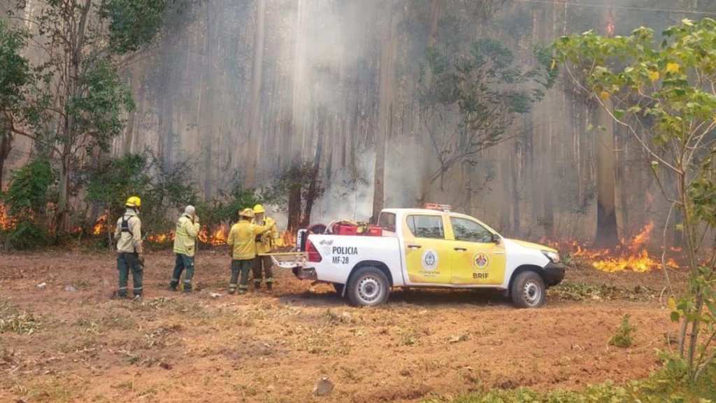 Valdés, sobre los incendios en Corrientes: 