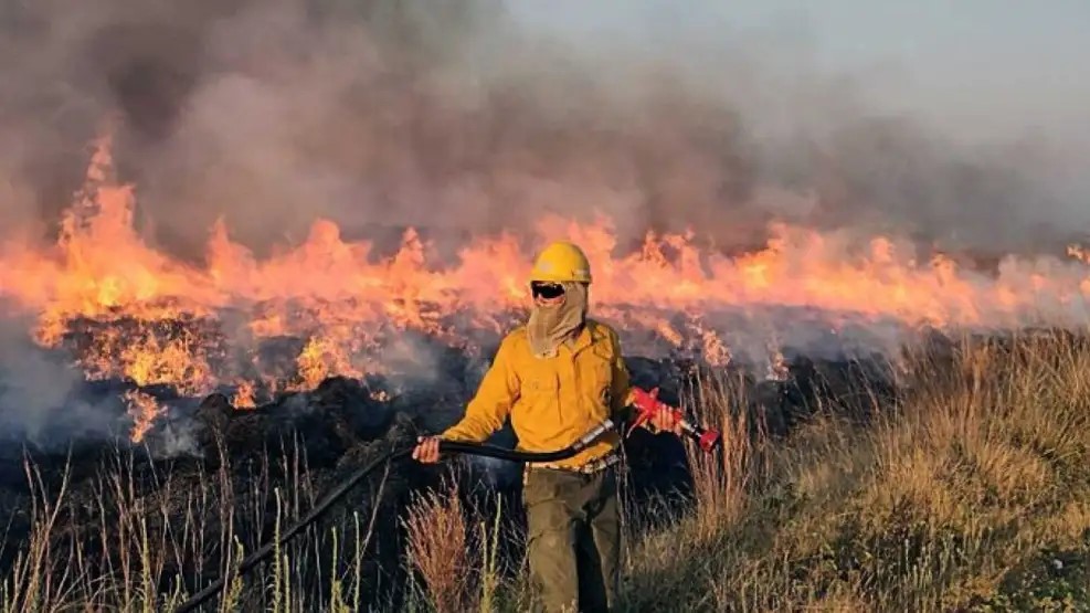 Gustavo Valdés, sobre los incendios en Corrientes: 