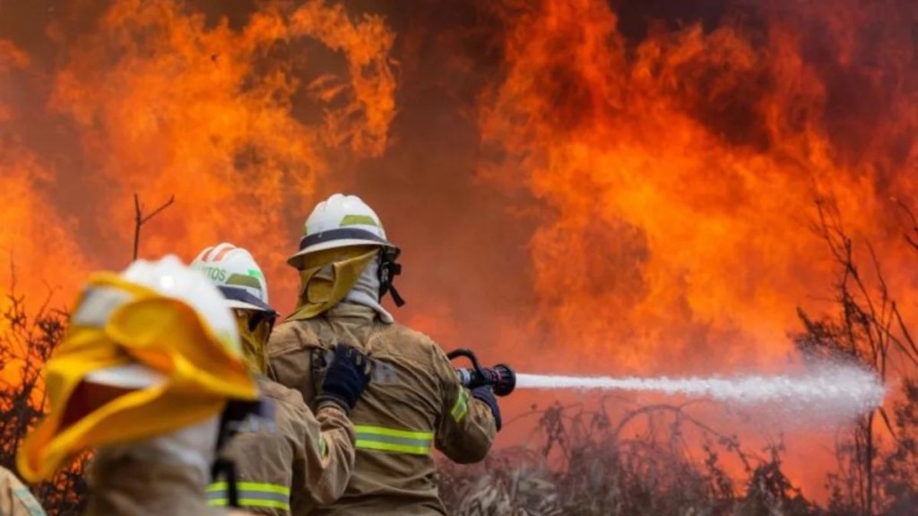 Los incendios en Corrientes fueron advertidos por el Conicet hace un año