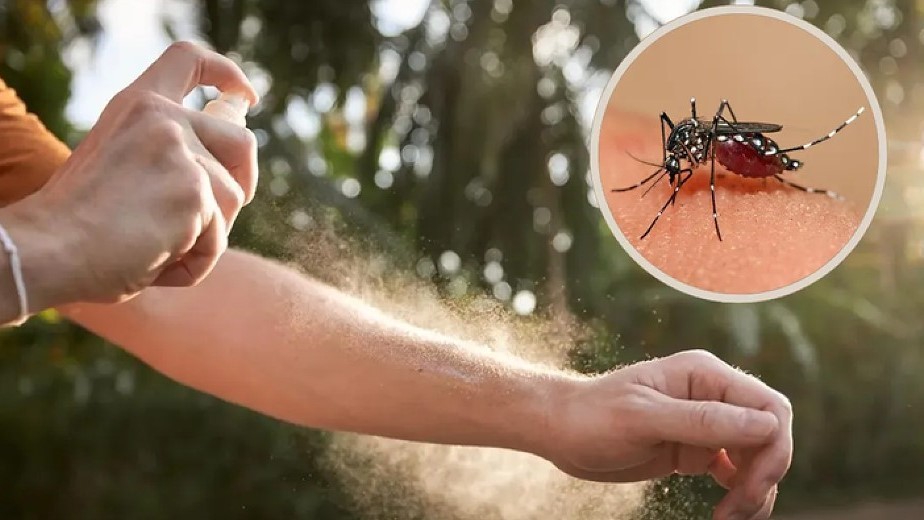 Confirmado: Corrientes registra su primer caso de dengue de 2026