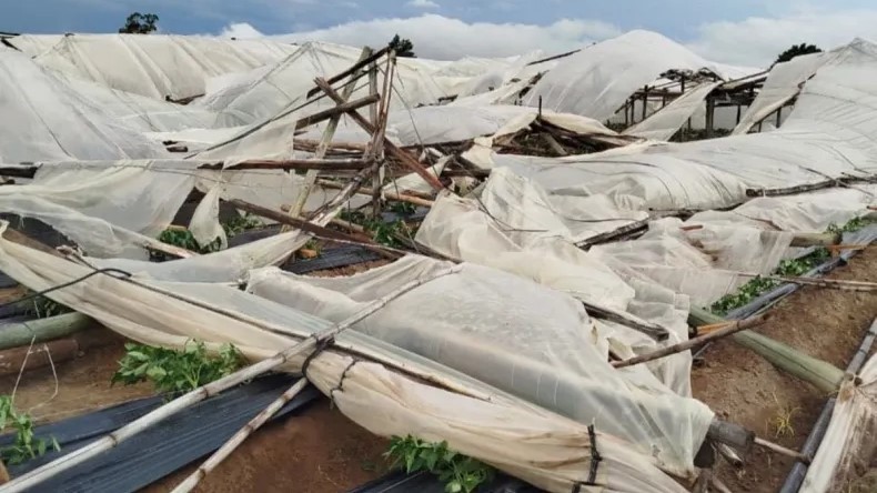 Desolación en el campo correntino: El granizo y el viento devastaron la producción en Mocoretá, Lavalle y Santa Lucía