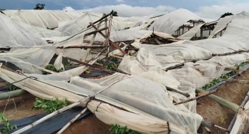 Desolación en el campo correntino: El granizo y el viento devastaron la producción en Mocoretá, Lavalle y Santa Lucía