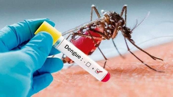 Preocupación por el aumento de casos de dengue en Esquina