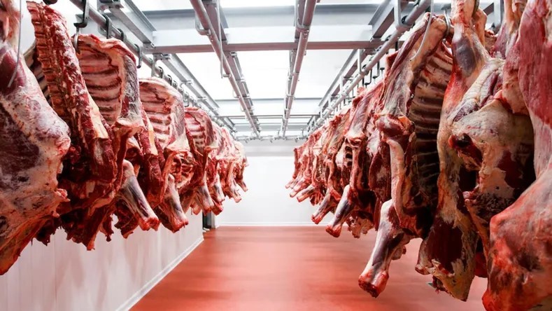 R&eacute;cord hist&oacute;rico negativo: El consumo de carne en Argentina retrocedi&oacute; dos d&eacute;cadas