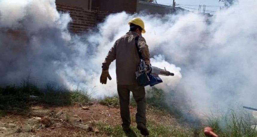Dengue: se disparó el brote en Santo Tomé y abren vacunación en más ciudades 
