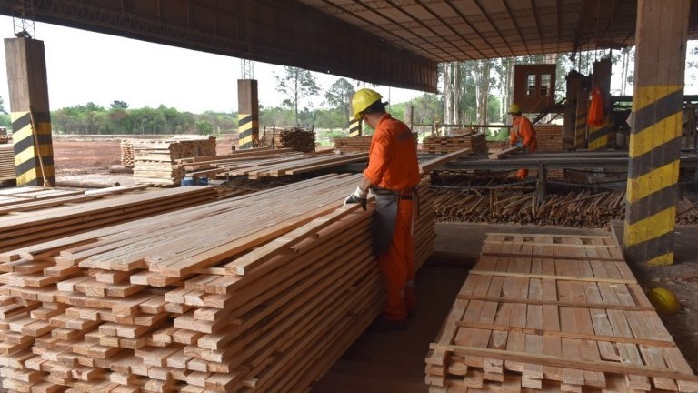 La industria maderera en crisis, busca medidas urgentes del Gobierno
