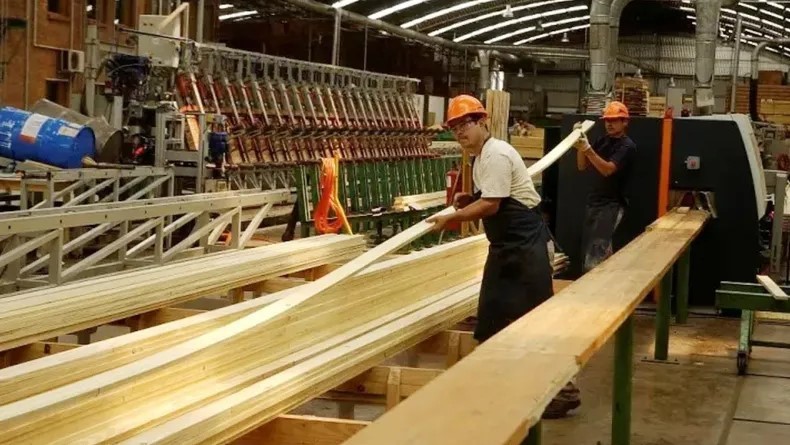 Aserradero de Santo Tomé paraliza su actividad y peligran 32 puestos laborales