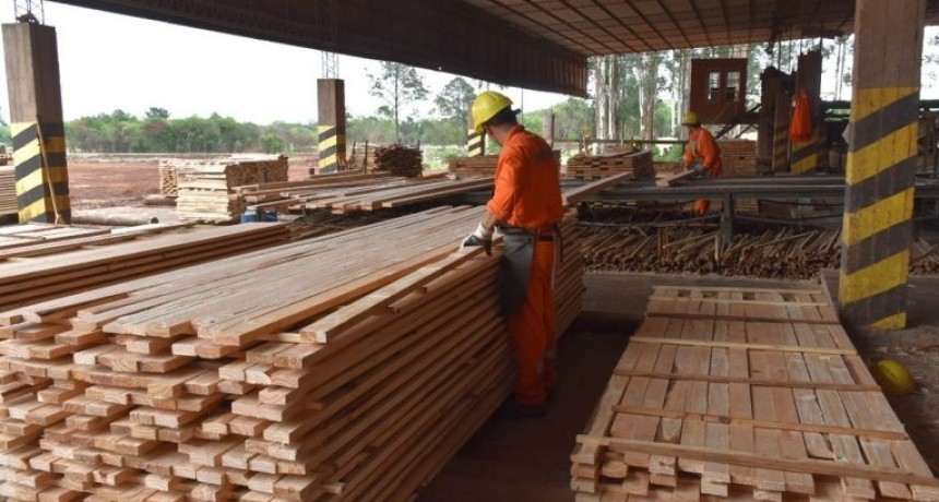 La industria maderera en crisis, busca medidas urgentes del Gobierno
