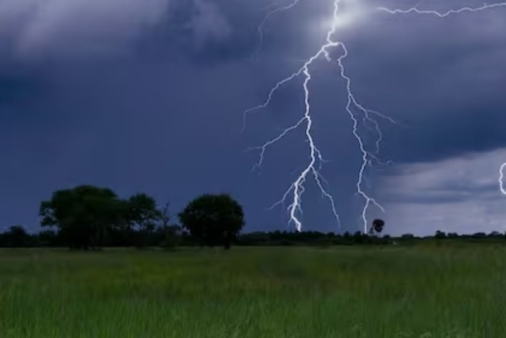 Tragedia en Sauce: Un pe&oacute;n rural muri&oacute; fulminado por un rayo en la Estancia El Tigre