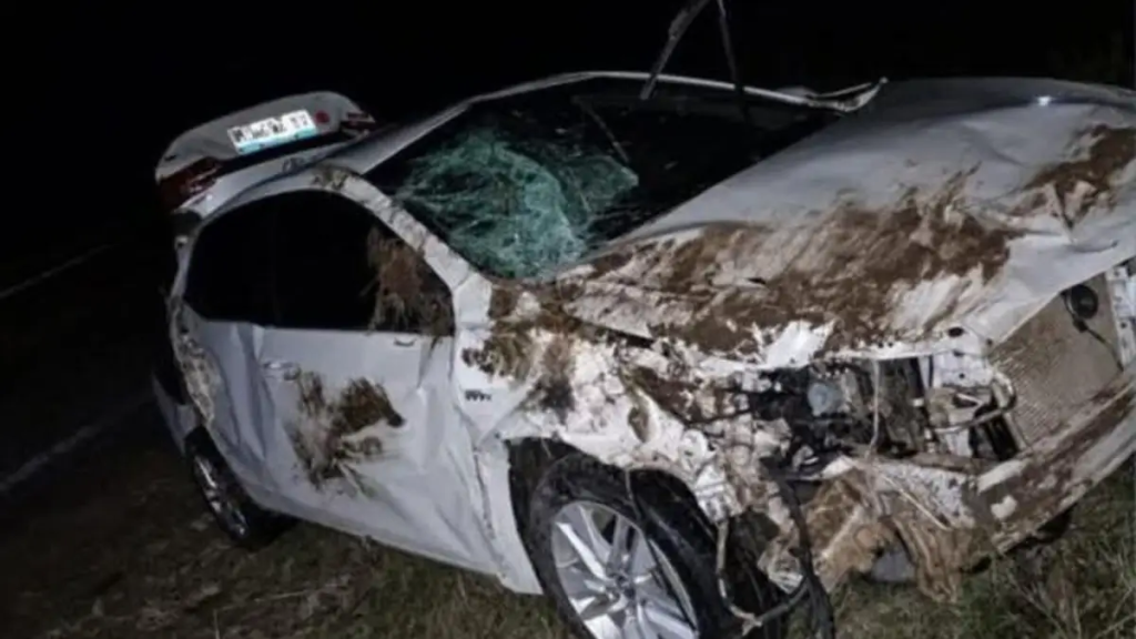 Siniestro vial en la Ruta 123: un autom&oacute;vil despist&oacute; tras colisionar contra un animal salvaje cerca de Mercedes