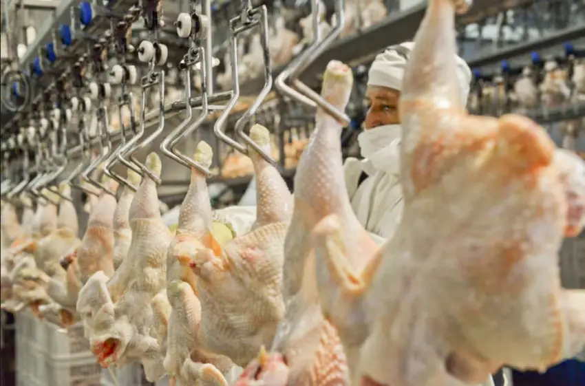 Hitos del mercado de consumo: por primera vez en la historia, el pollo super&oacute; a la carne vacuna en la dieta de los argentinos