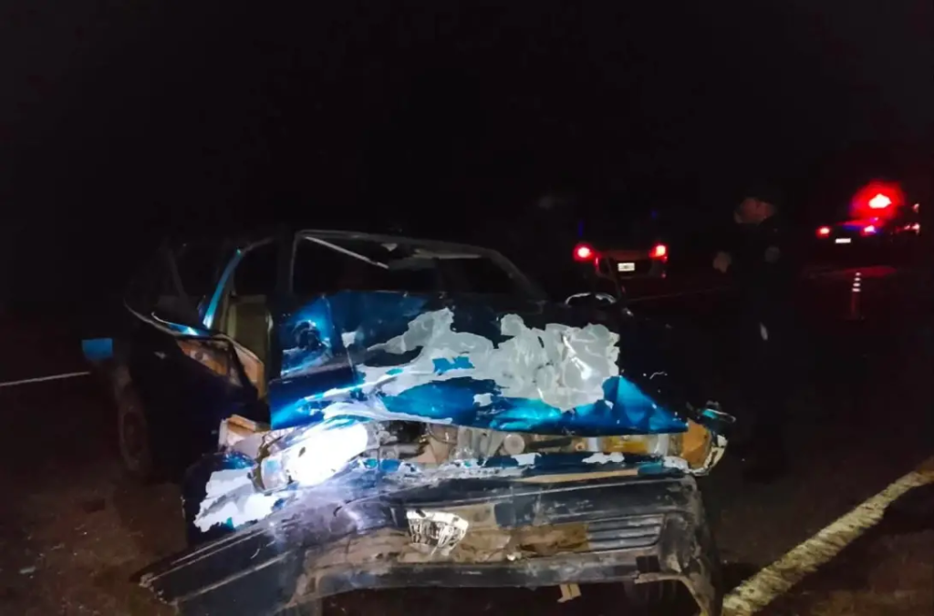 Tr&aacute;gico accidente sobre la Ruta Nacional N&deg; 118: una persona fallecida y siete heridos