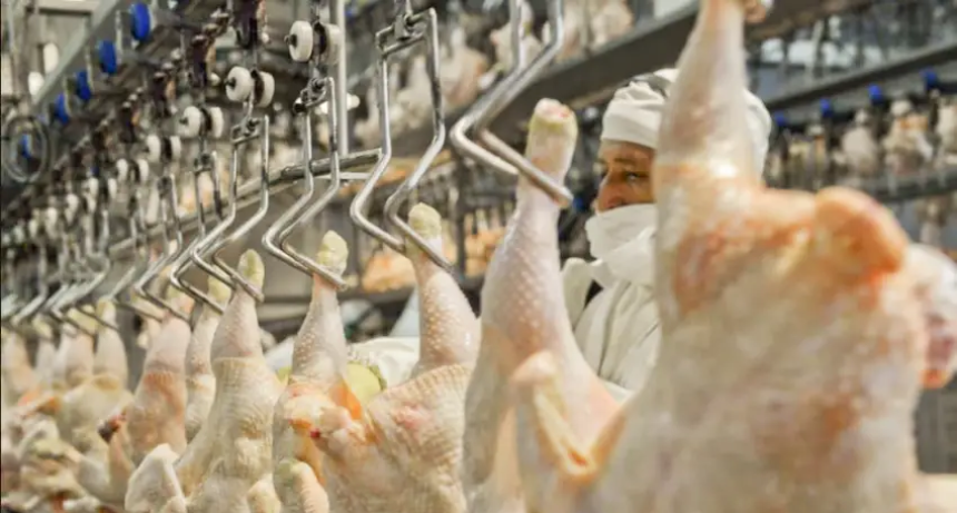 Hitos del mercado de consumo: por primera vez en la historia, el pollo super&oacute; a la carne vacuna en la dieta de los argentinos