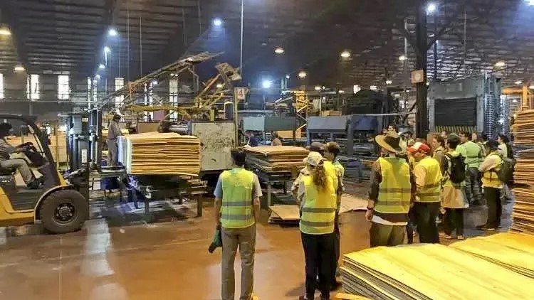 Maderera paralizó su producción y dejó en suspenso a más de 500 trabajadores