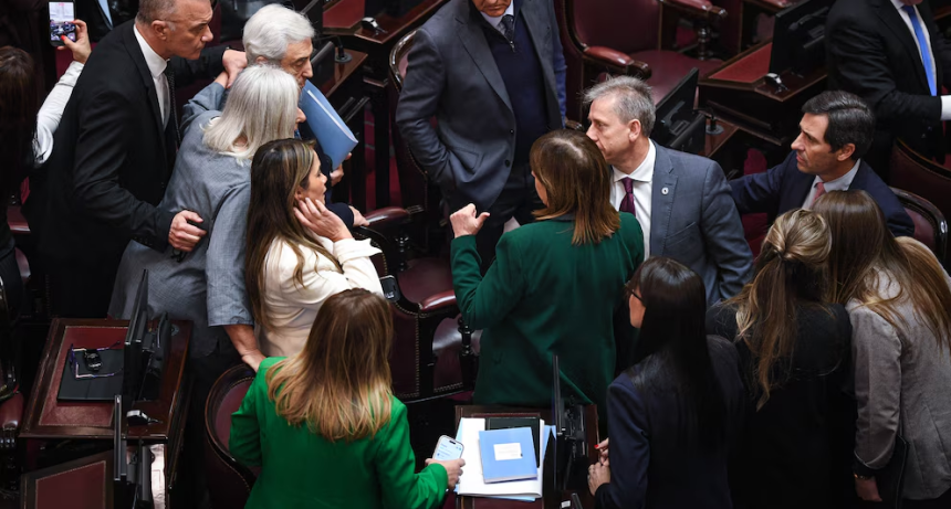 La teor&iacute;a del tero: el doble juego de los senadores correntinos ante el proyecto de propiedad privada