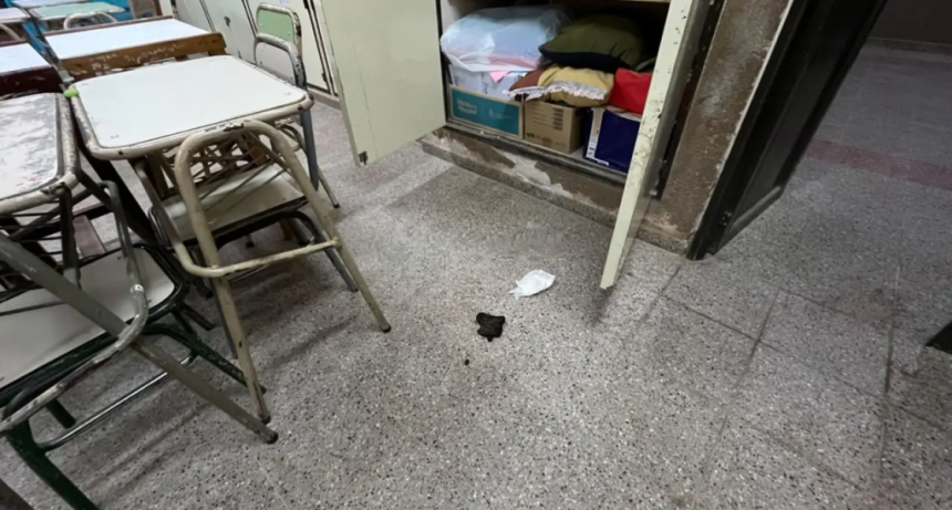 Violento ataque a una escuela del barrio Quintana: destrozaron seis aulas y robaron regalos para los alumnos