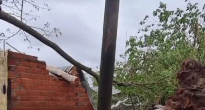 Tragedia en Corrientes: un árbol cayó en una vivienda y mató a una joven