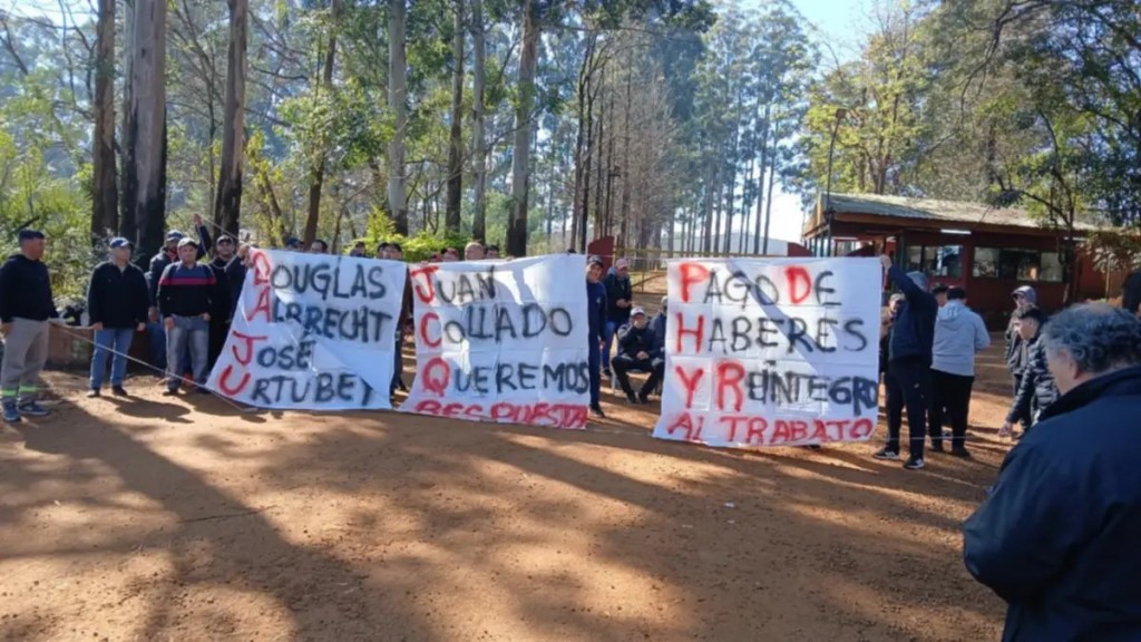 Forestadora Tapebicuá: 